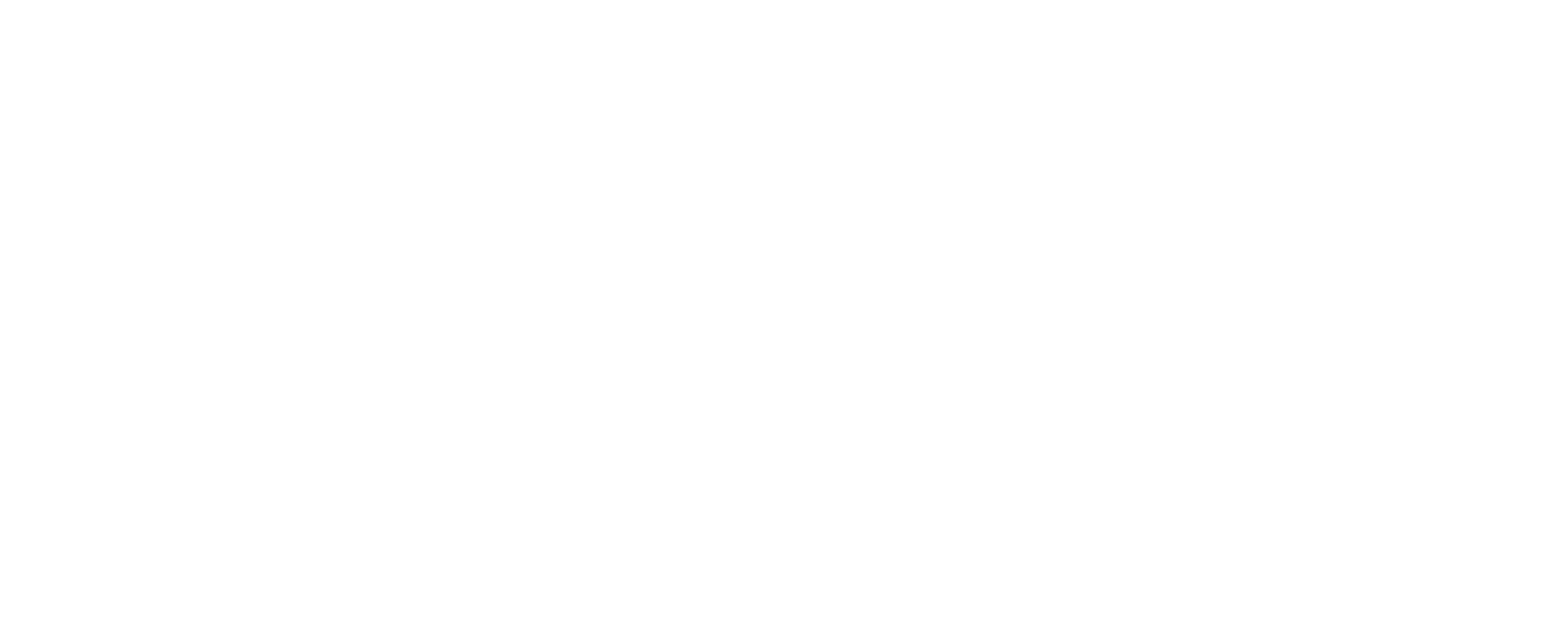 IVMTech